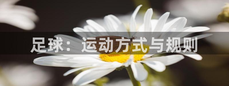 关键词：足球：运动方式与规则