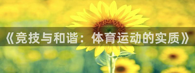 关键词