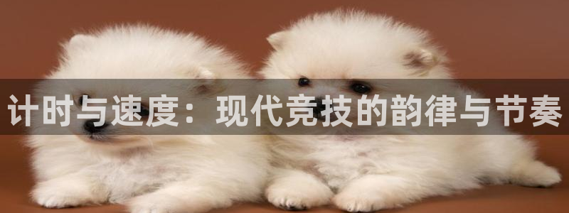 速8体育网：计时与速度：现代竞技的韵律与节奏