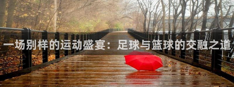速8体育网：一场别样的运动盛宴：足球与篮球的交融之道
