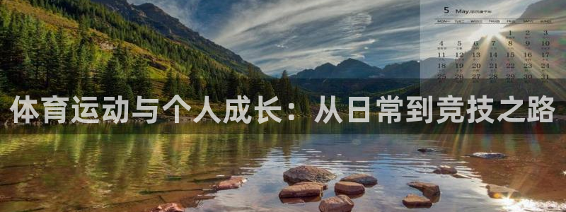 速8体育网