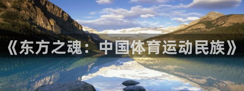 速8体育网