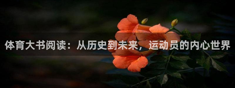 速8体育网