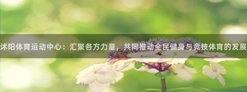 速8体育网